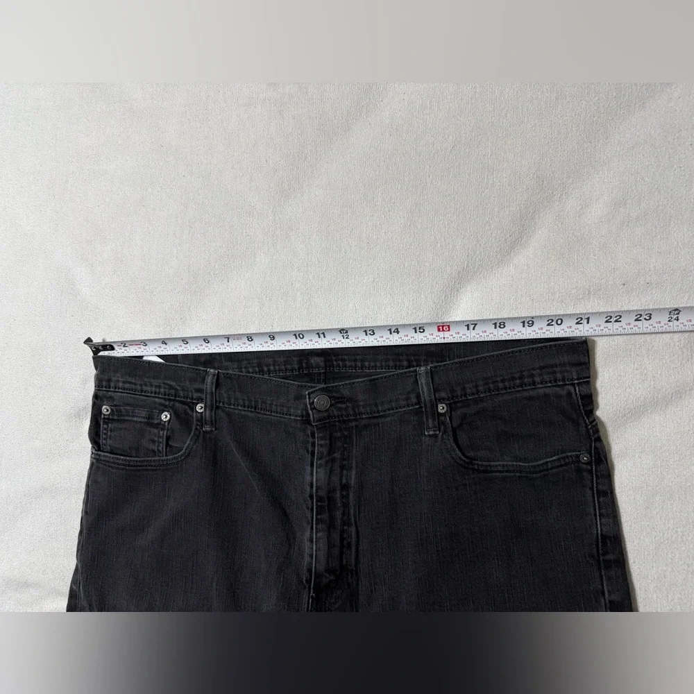 Levis levis 569